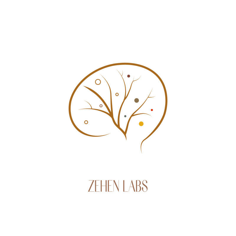 ZEHEN Labs